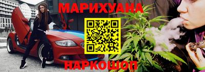 стаф Краснодар
