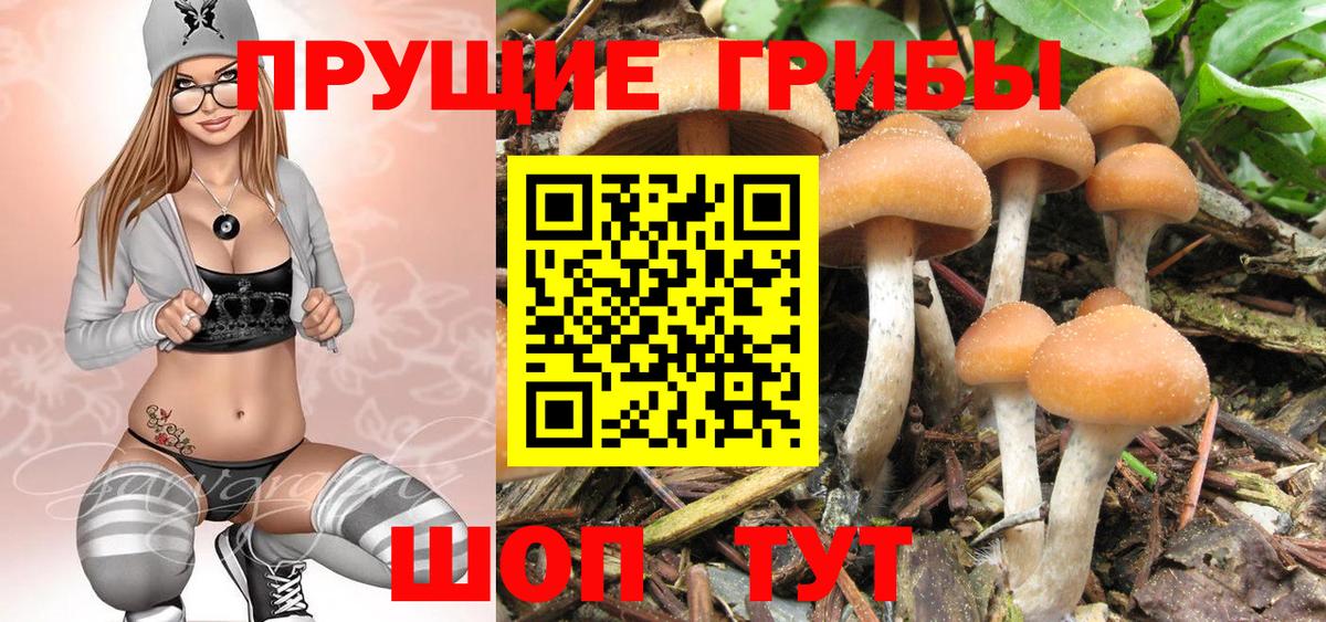 Касимов  Псилоцибиновые грибы мицелий  Вход с VPN 